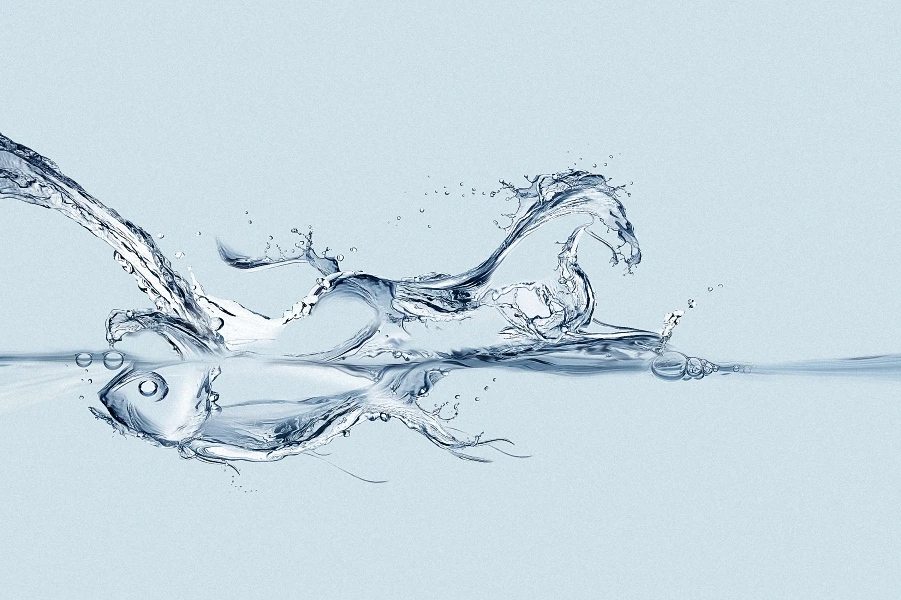 Иллюстрация водяная ветка рыба лошадь художественный настенный плакат шелковая