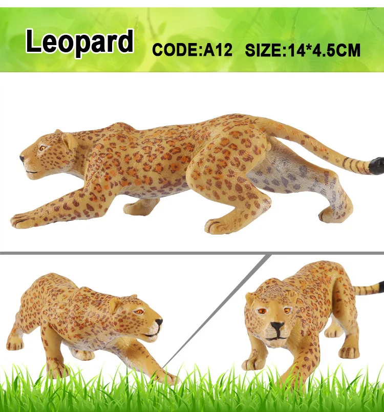 leopard