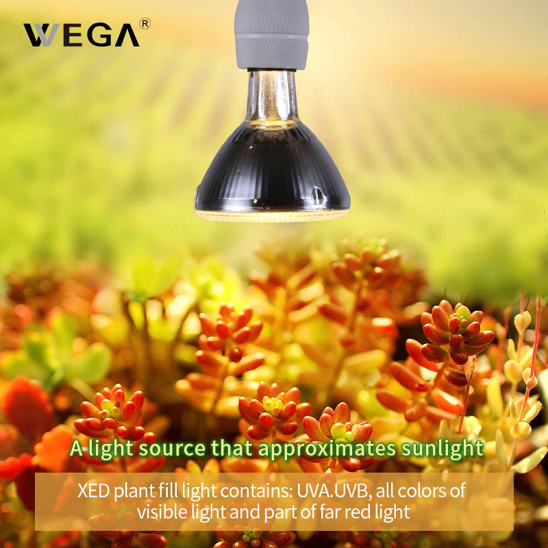 WEGA Plant Growth Light UVB UV Lamp 70W Hand Switch Full Spectrum Light