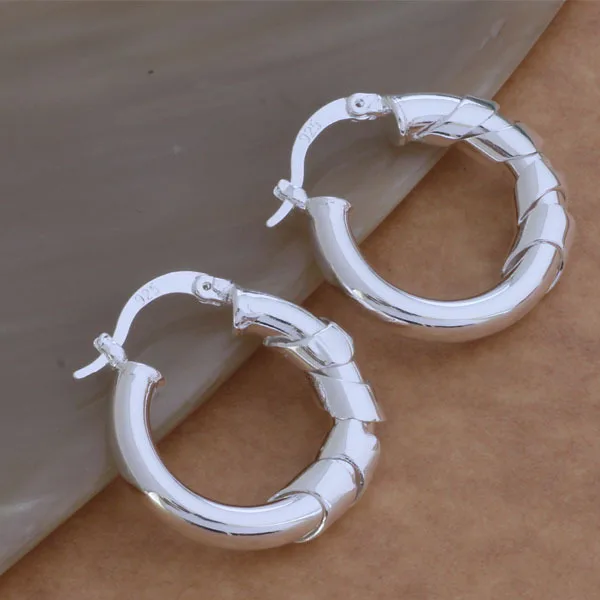 

wholesale Earrings silver Fashion jewelry errrings WE-088