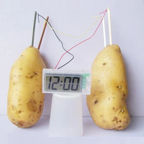 wholesale potato fruit clock