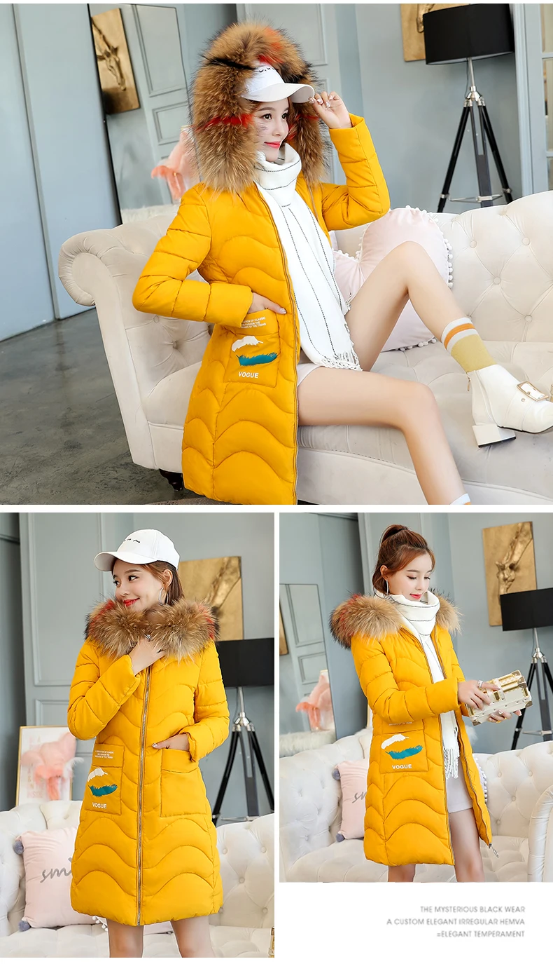 Women Winter Long Jacket Fake Fur Collar Hooded Parka Padded Coat Women 2018 Korean Thick Warm Slim Coats Jackets Female CH695 (4)