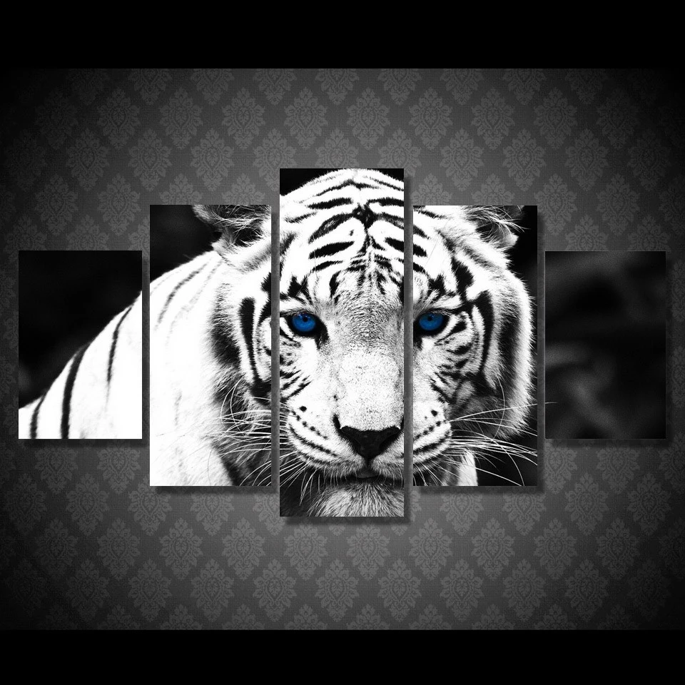5 Teile Satze Leinwandbilder Malerei Weisse Tiger Blauen Augen Panels Dekorationen Fur Haus Design Wandkunstdrucken Leinwand Ungerahmt S A163 Canvas Painting White Art Canvascanvas Painting Aliexpress