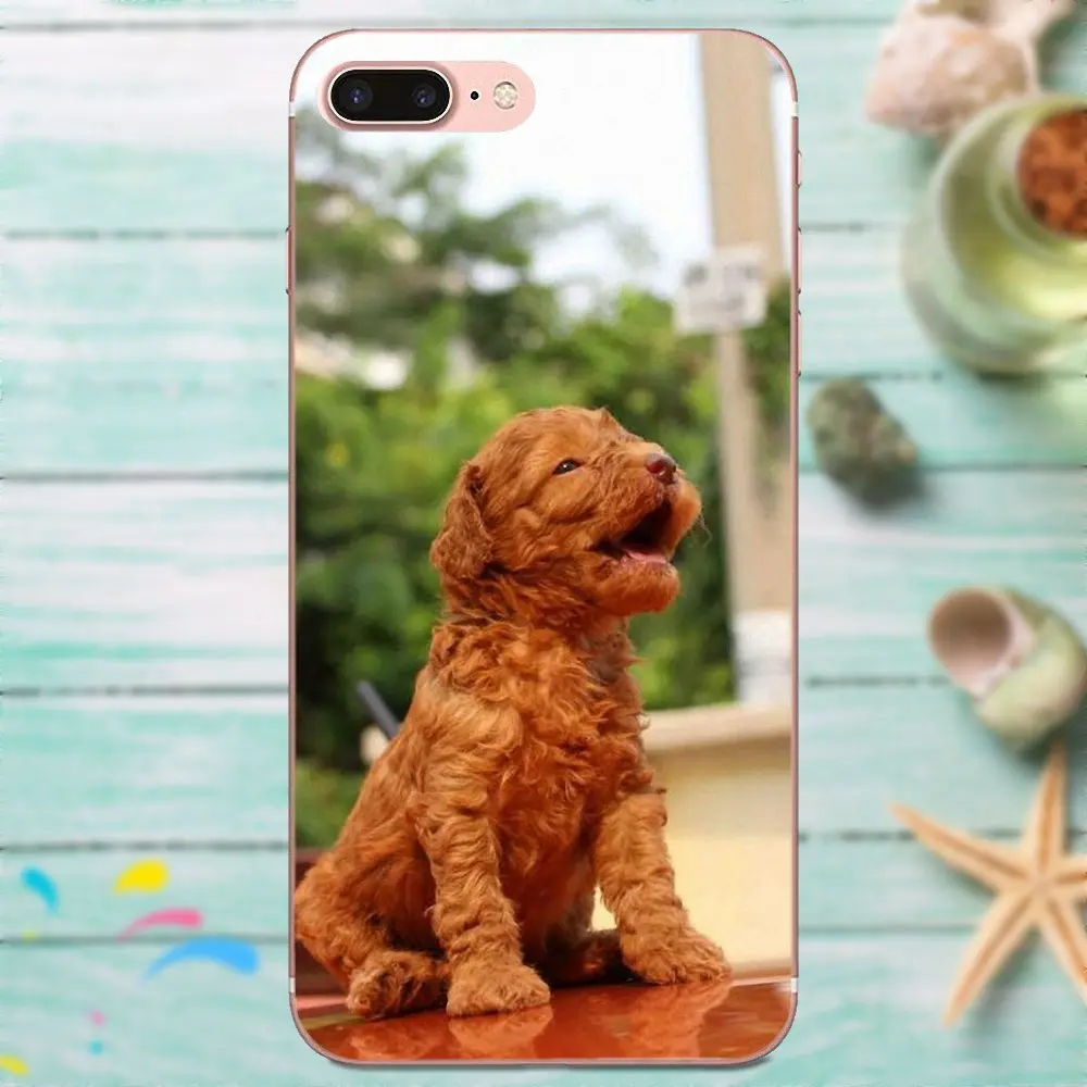 Чехол из ТПУ для Huawei P8 P9 P10 P20 P30 Mate 7 8 9 10 20 Lite Plus Pro 2017 Игрушка Пудель Собака