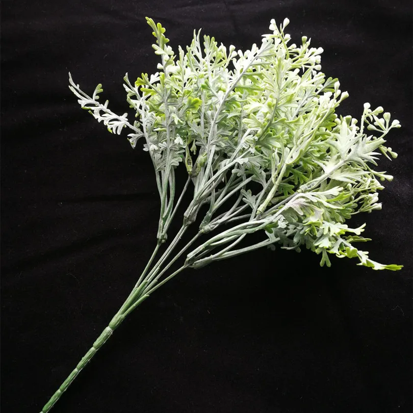 Кинза листик. Пучок листьев. Пучок листьев. Букет лаврушки. Пучок листьев.