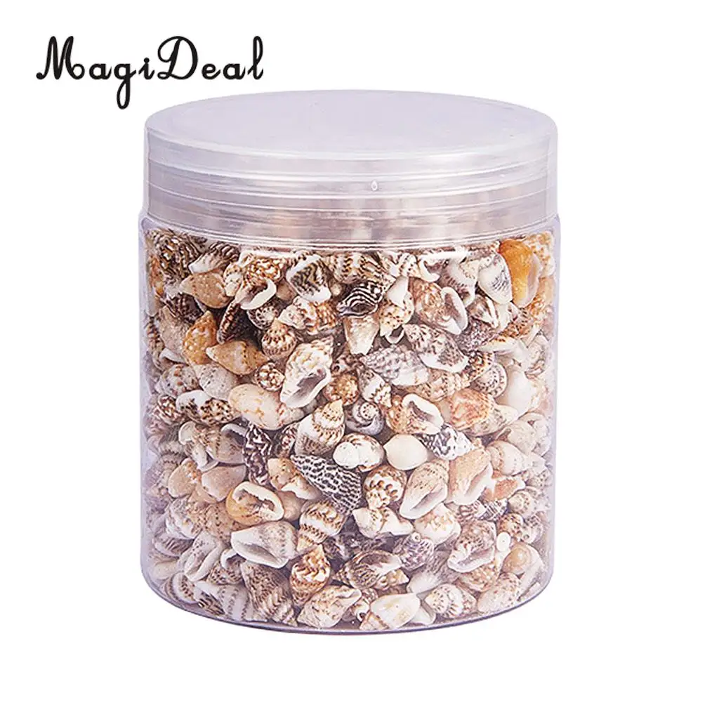 2 Box Multi Sea Shells Natural Conch Shells Beach Seashells, Colorful Assorted Accents for Candle Making Home Decorations