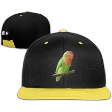 Регулируемые бейсбольные Молодежные кепки хип-хоп шляпы цветные попугай мальчики-девочки