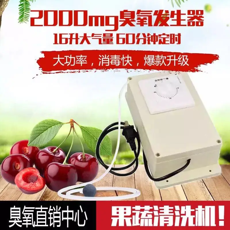 

2000mg Ozone Generator 60 Minutes Time 220V 16 L Out of gas