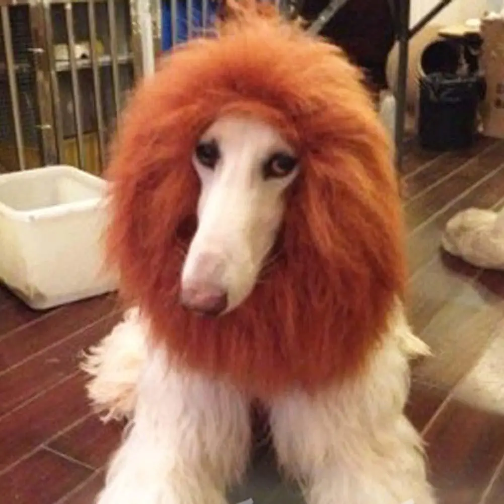 Download Pet Costume Dog Lion Wigs Mane Hair Festival Party Fancy Dress up Halloween Costume pet lion ...