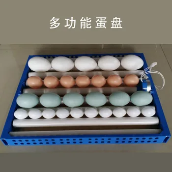 

Professional plastic egg tray for incubator Automatic egg turning 64/48/32 plastic egg tray Hatcher accessories