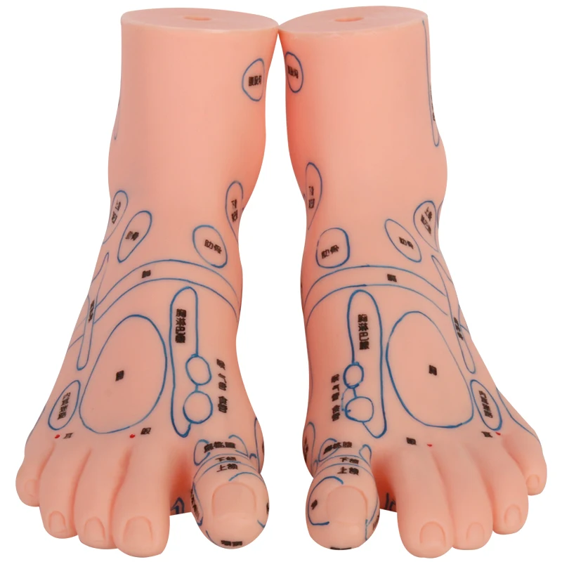 High Quality acupuncture foot