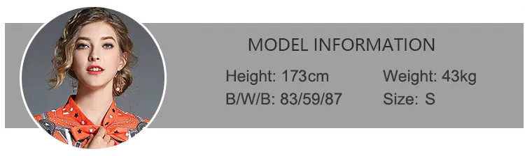 model-information