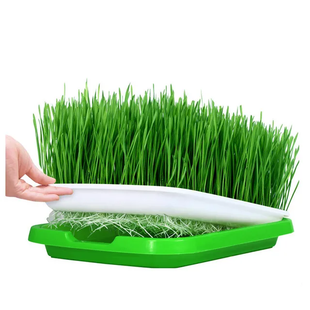 Hydroponics Seedling Tray Sprout Plate Hydroponics System To Grow Nursery Pots Tray Vegetable Seedling Pot Plastic Nursery Tray
