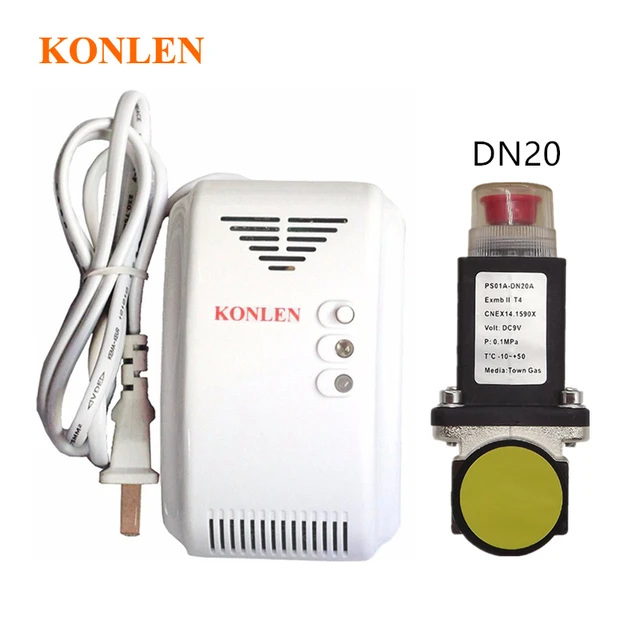 Natural Gas Detector 12V Gas Detector and Solenoid Detector Gas Natural -  China Gas Detector, Gas Leak Detector