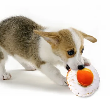 Hundespielzeug günstig kaufen