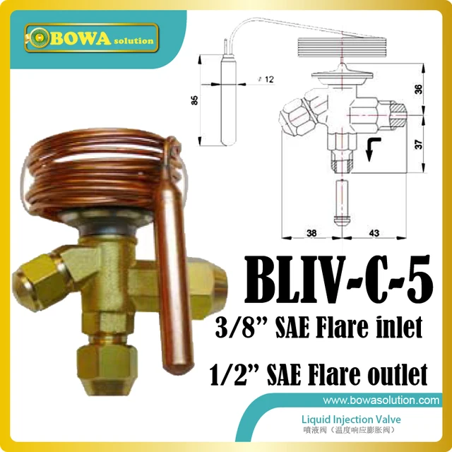 Liquid refrigerant injection valve working as compressor protector to