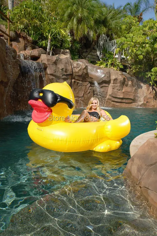 Riding Derby Duck 4