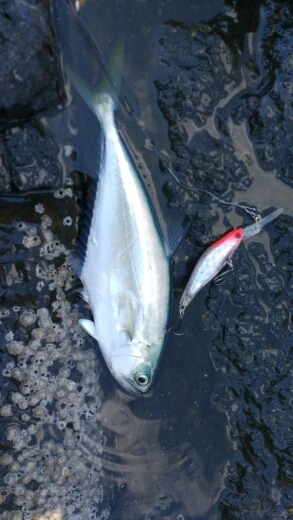 aeProduct.getSubject()