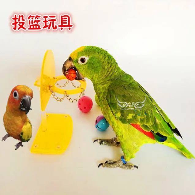 Parrot Alpinia Oxyphylla Training Toys Mini Basketball Shoot Foot Catch Scrath Hand Gnawing A Bird | Дом и сад