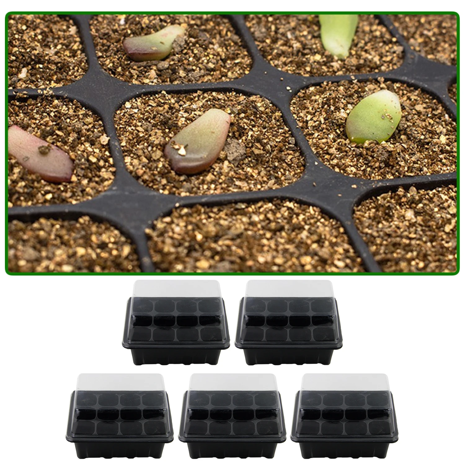 

Behogar 5 Pack Professional 12Hole Seed Tray Cavity Insert Plant Seedling Starter Nursery Trays with Lid Garden Supplies
