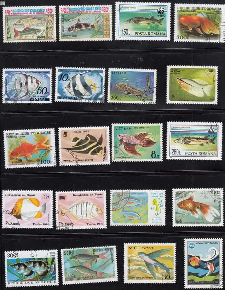 50 шт./лот морские рыбные животные все разные из многих стран без повторов