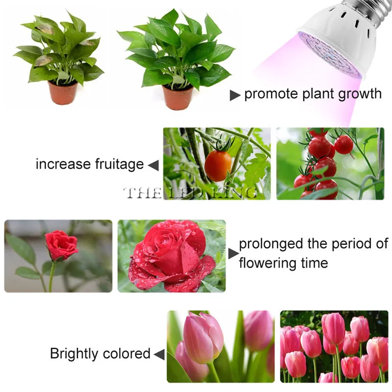 60 Вт фитолампа полный спектр светодиодный светильник для выращивания E27 лампа для растений с зажимом для теплицы гидропоники растительный цветок Fitolampy