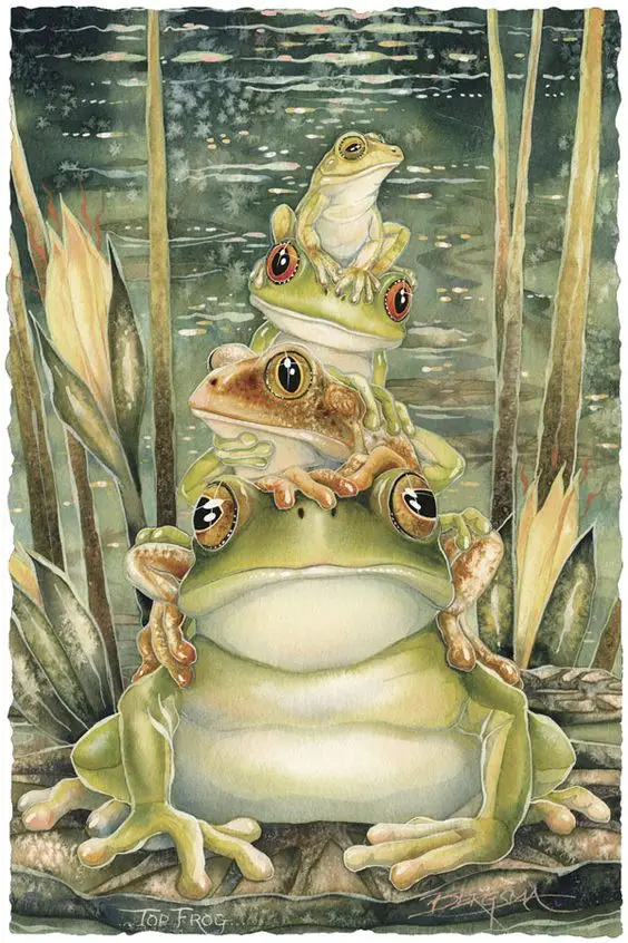 heat! Embroidery Frog Top Frog Pattern Diamond Embroidery Sewing DIY