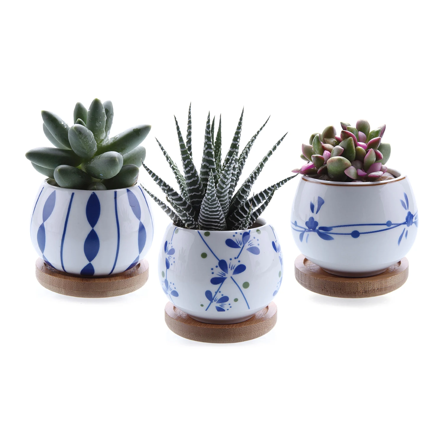 

T4U 2.7 Inch Ceramic succulent Plant Pot Cactus Plant Pot Flower Pot Container Planter with Bamboo Tray Set of 3