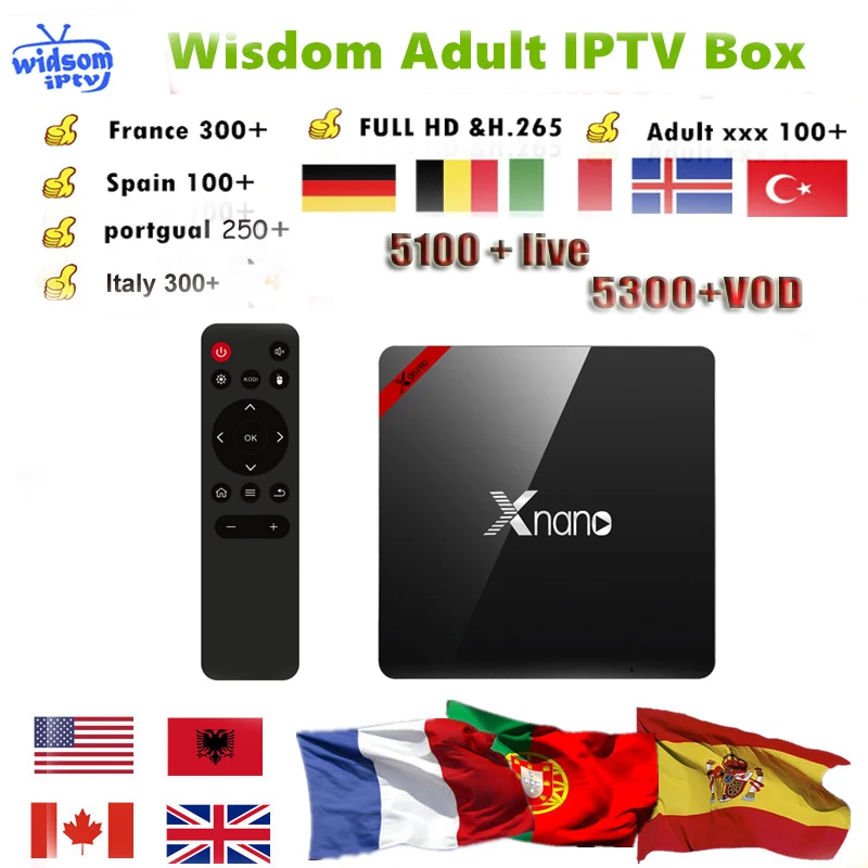 

X96 Pro android + 1 Year French Netherland IPTV Spain Portugal Italia Arabic IPTV Dutch IPTV Subscription France UK Support