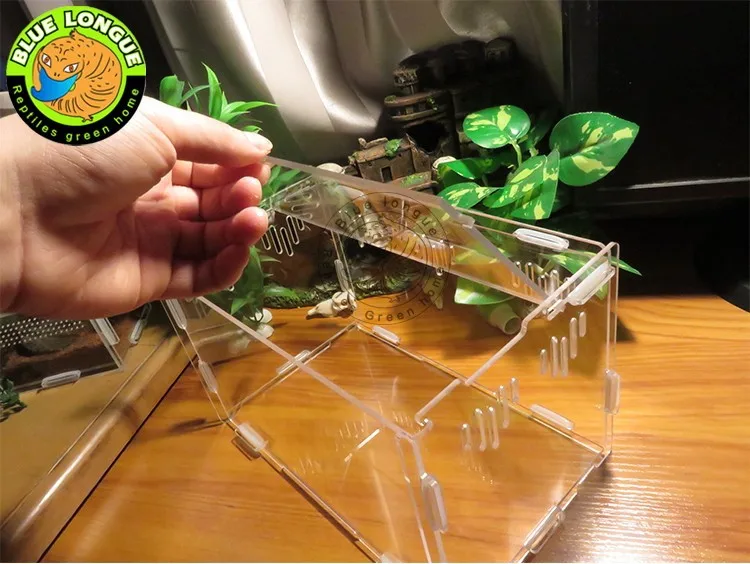 Crystal Acrylic Herp Pet Cage, Small box mosquera acrylic pet feeding box scorpion scollops pet box 25 x 15 x 15 cm214