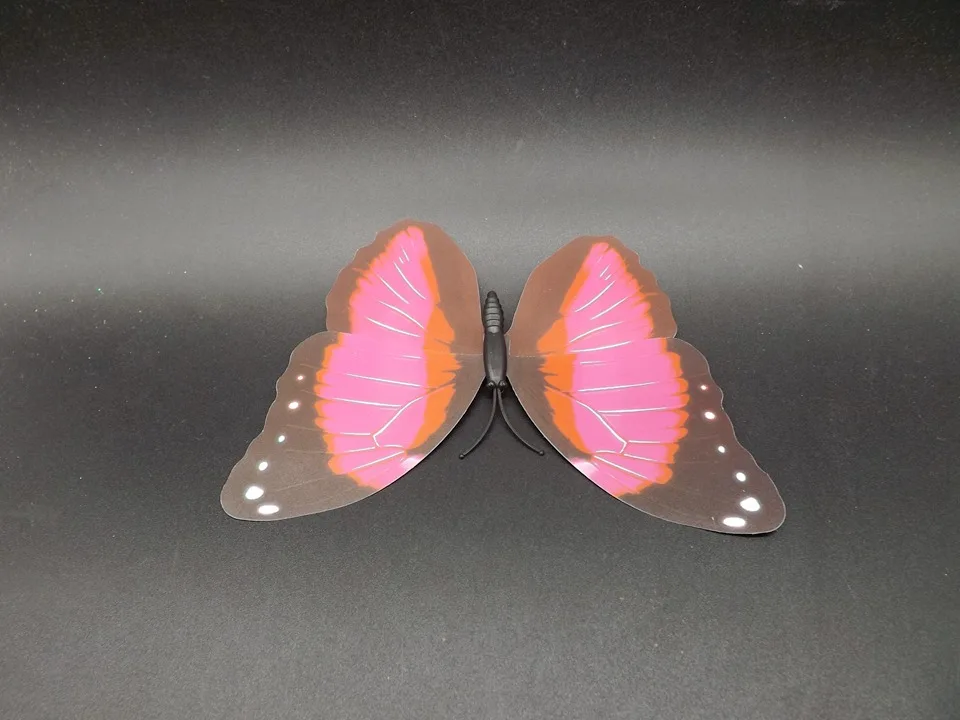 I235-Butterfly (7)