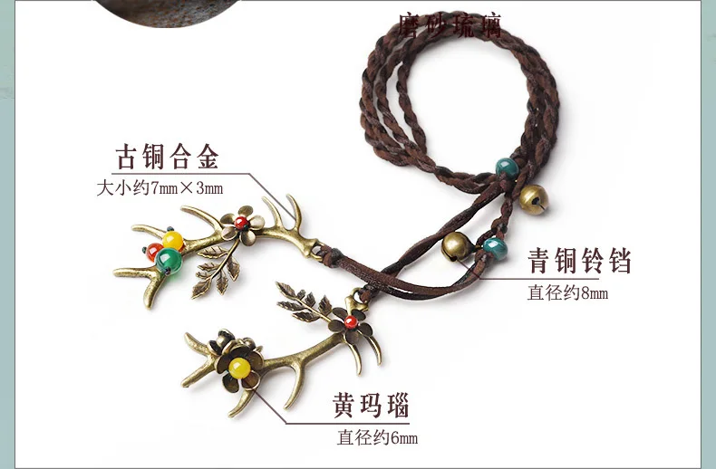 3555236860_1755398975