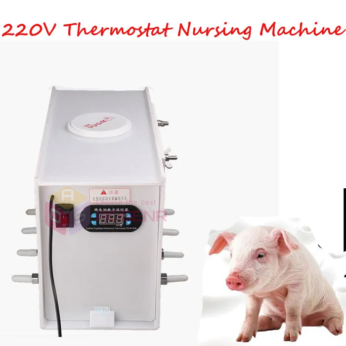 

220V Automatic Thermostat Nursing Nipple Feeding Watering Machine for Piglet Shoat Porkling Calves
