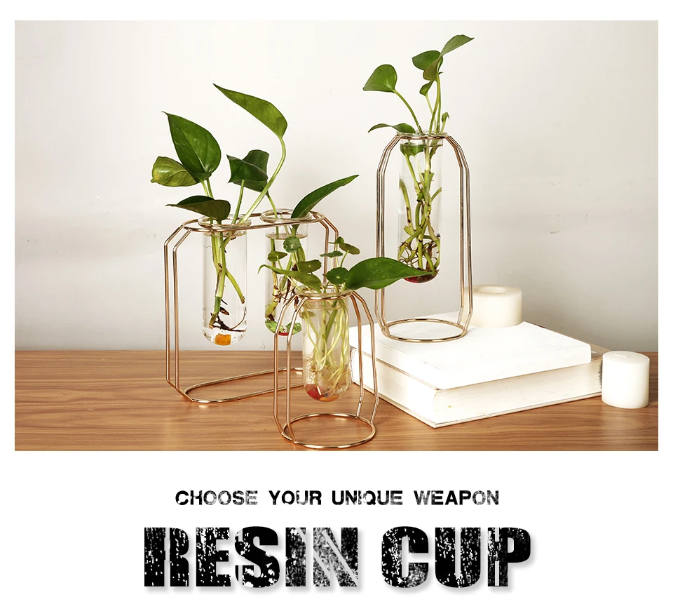 066_01