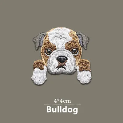 Toppa Ricamata Con Bulldog Carlino – 8x6 Cm – Da Cucire O Applicare Con Ferro Da Stiro
