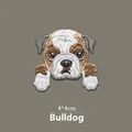 BULLDOG