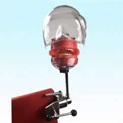 Китай Зубное оборудование зубные обучающий манекен фантомная голова скамья учебное оборудование зубная фантомная голова манекен