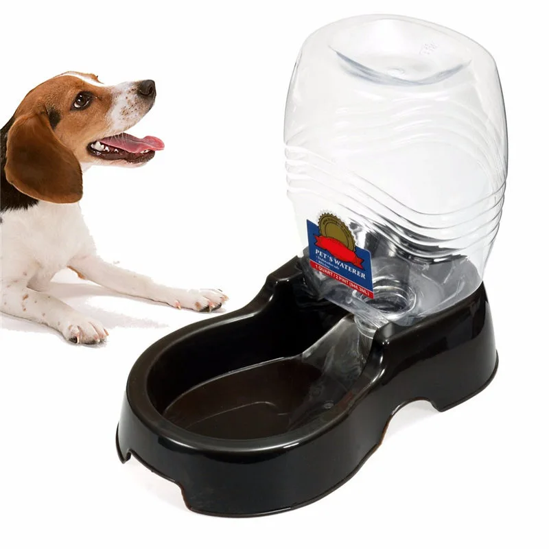 I M Out Of Dog Food What Can I Use I M Out Of Dog Food What Can I Use