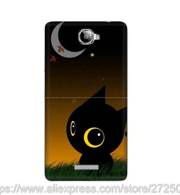 Black-cat