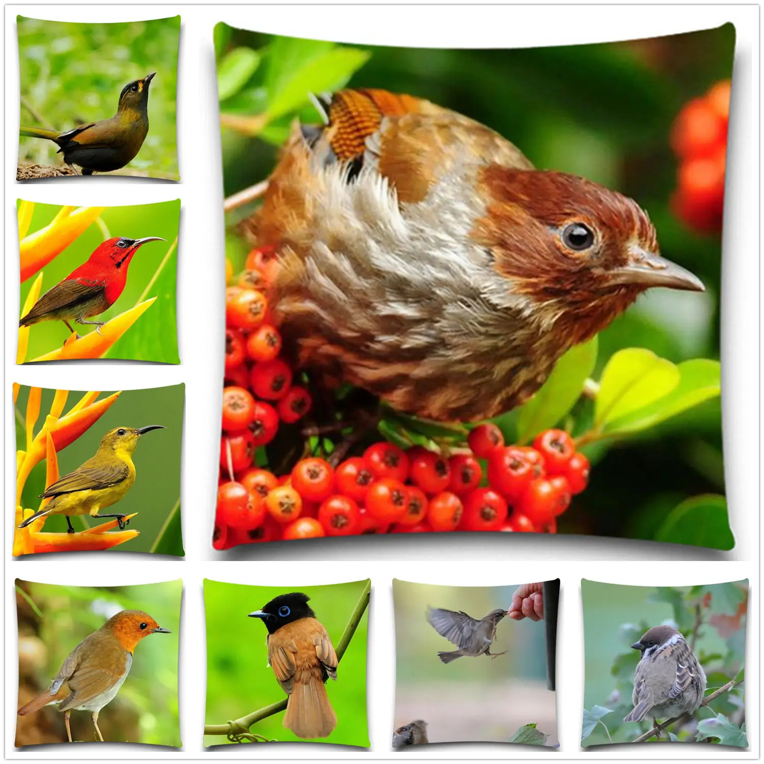 Magpie Colorful Bird Sofa Cushion covers Autumn Decorative Pillows