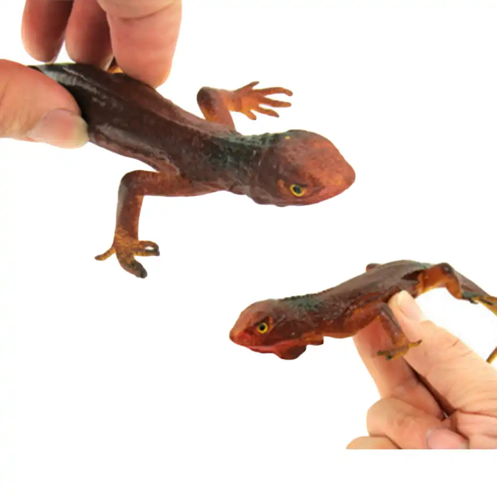 rubber lizard cat toy