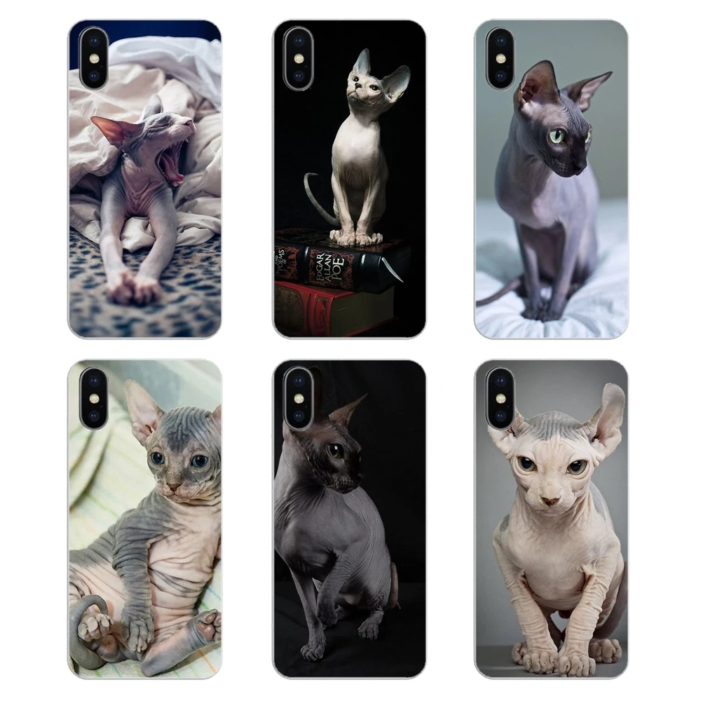 Friendliest sphynx cat kitty Poster Silicone Phone Shell Case For Samsung Galaxy A5 A6 A7 A8 A9 J4 J5 J7 J8 2017 2018 Plus Prime |