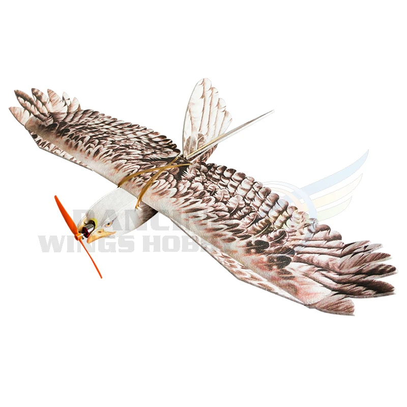 eagle balsa glider
