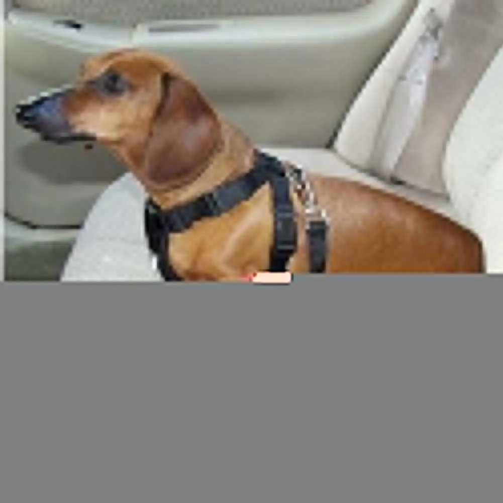 Кошка Собака Автомобиль безопасности сиденье Страховочная привязь с ремнем регулируемые изделия для домашних животных Pup Hound ремень безопасности для машины поводок для собак Путешествия зажим ремня черный