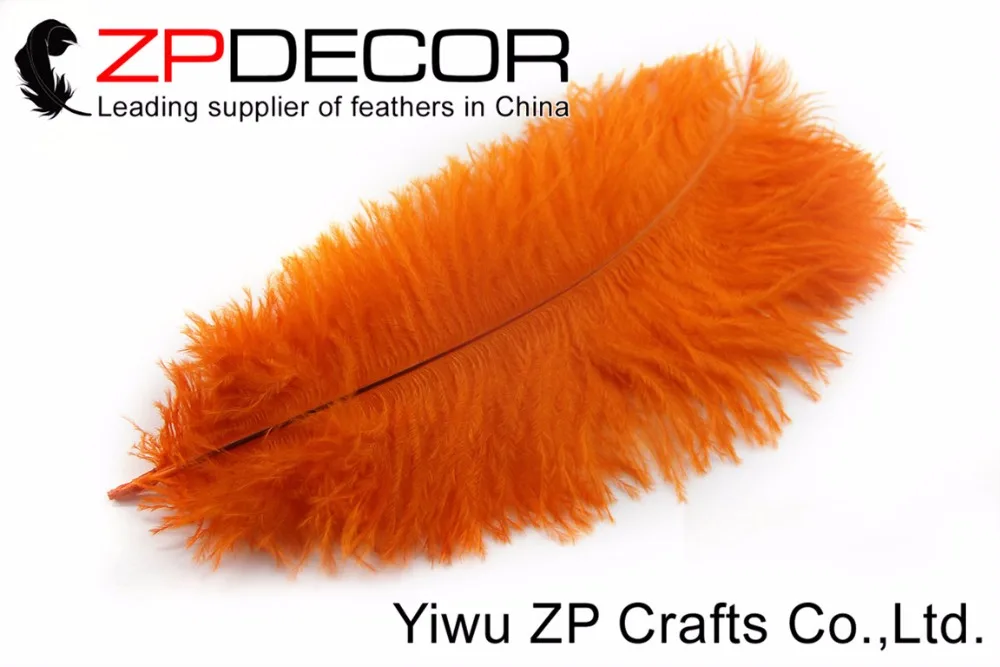 25-30cm (7)
