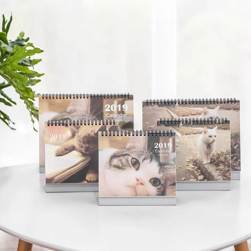 

New 2019 Kawaii Cartoon Cat Table Desktop Calendar Creative Agenda Organizer Daily Schedule Planner 2018.06~2019.12