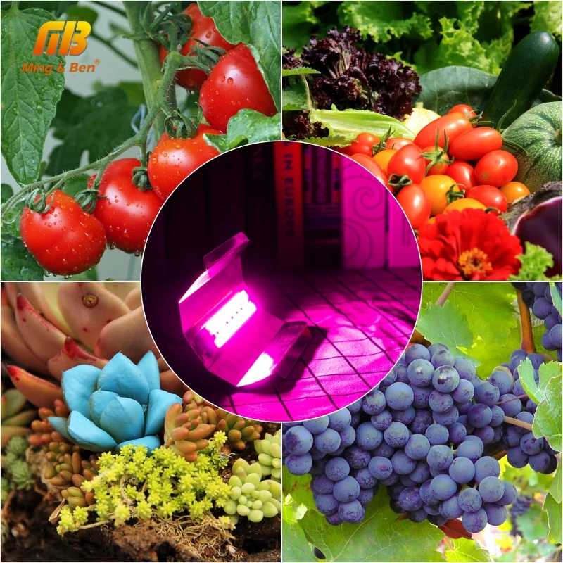 Full Spectrum LED Growth Floodlight 30W 50W 80W Led Phyto Lamp 220V 110V 380-780nm Plant Seeding Fl - 32947298372
