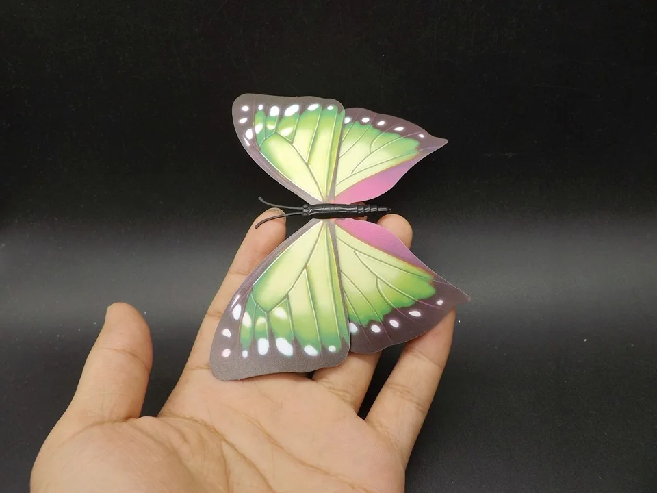I238-Butterfly (2)