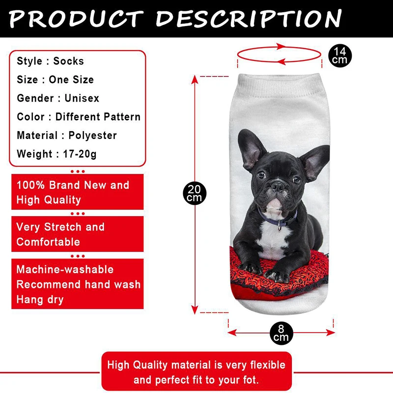 9348256369_520631427