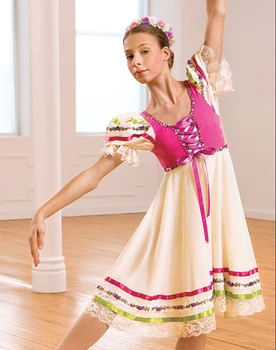 

2018 Time-limited Professional Ballet Tutu Gymnastics Leotard The New Foreign Trade Children's Ballet Skirt Dress Adult Costume